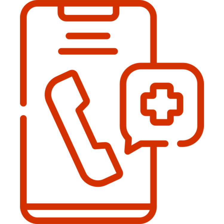 Telemedicine Icon